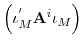  \left( \iota_{M}^{^{\prime}}\mathbf{A}^{i}\iota_{M}\right) 