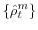  \left\{ \hat{\rho}_{t}^{m}\right\} 