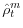  \hat{\rho}_{t}^{m}