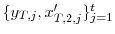  \{y_{T,j},x_{T,2,j}^{\prime}\}_{j=1}^{t}