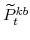  \widetilde{P}^{kb}_{t}