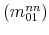  (m_{01}^{nn})