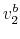 \displaystyle v_{2}^{b}