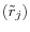 (\tilde {r}_j )