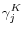 \gamma _j^K 