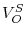  V_{O}^{S}