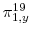 \pi_{1,y}^{19}
