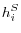 h_i^S 