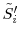  \tilde{S}_i^{\prime }
