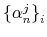  \left\{ \alpha _{n}^{j}\right\} _{i}