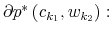  \partial p^{\ast}\left( c_{k_{1}},w_{k_{2}}\right) :