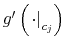  g^{\prime}\left( \left. \cdot\right\vert _{c_{j}}\right) 