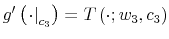 \displaystyle g^{\prime}\left( \left. \cdot\right\vert _{c_{3}}\right) =T\left( \cdot;w_{3},c_{3}\right) 