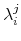 \lambda_{i}^{j}