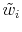  \tilde{w}_{i}