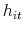  h_{it}