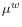 \mu^{w}