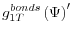 \displaystyle g_{1T}^{bonds}\left( \Psi\right) ^{\prime}% 