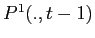  P^{1}(.,t-1)