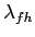 $\displaystyle \lambda_{fh}$
