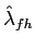 $ \hat{\lambda}_{fh}$