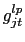 g_{jt}^{lp}