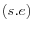 (s.e)