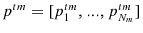  p^{tm}=[p_{1}^{tm},...,p_{N_{m}}^{tm}]