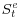 S_t^e 