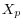 X_p 