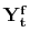  {{\mathbf{Y_t^f}}}