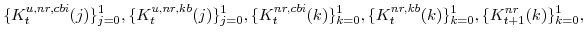 \displaystyle \{K^{u,nr,cbi}_{t}(j)\}_{j=0}^{1},\{K^{u,nr,kb}_{t}(j)\}_{j=0}^{1}, \{K^{nr,cbi}_{t}(k)\}_{k=0}^{1},\{K^{nr,kb}_{t}(k)\}_{k=0}^{1},\{K^{nr}_{t+1}(k)\}_{k=0}^{1},