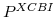  P^{XCBI}