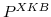  P^{XKB}