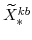  \widetilde{X}^{kb}_{\ast}