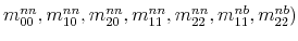  m_{00}^{nn},m_{10}^{nn},m_{20}^{nn},m_{11}^{nn},m_{22}^{nn},m_{11}% ^{nb},m_{22}^{nb}) 