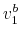 \displaystyle v_{1}^{b}
