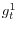 g_t^1 