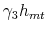  \gamma_3h_{mt}