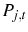  P_{j,t}