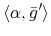 \displaystyle \left\langle \alpha,\bar{g}^{\prime}\right\rangle