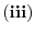  \mathbf{(iii)}