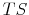  TS