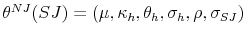  \theta^{NJ}(SJ)=(\mu,\kappa_{h},\theta_{h},\sigma_{h},\rho,\sigma_{SJ})