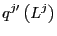 $\displaystyle q^{j\prime}\left( L^{j}\right)$