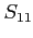 $S_{11}$