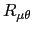 $ R_{\mu\theta}$