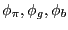 $ \phi_{\pi},\phi_{g},\phi_{b}$