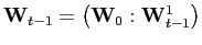 $ \mathbf{W}_{t-1}=\left( \mathbf{W}_{0}:\mathbf{W}_{t-1} ^{1}\right) $