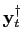 $ \mathbf{y} _{t}^{\dagger}$